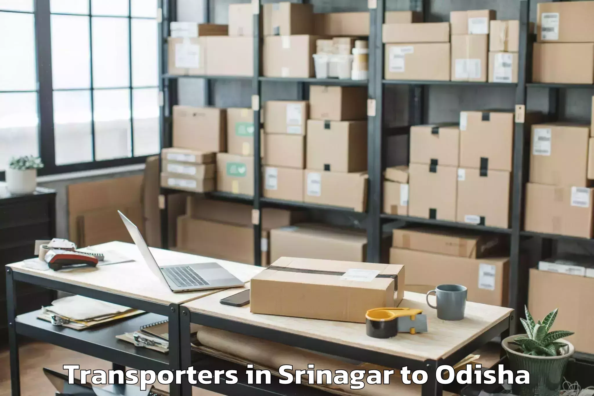 Book Srinagar to Nilagiri Transporters Online